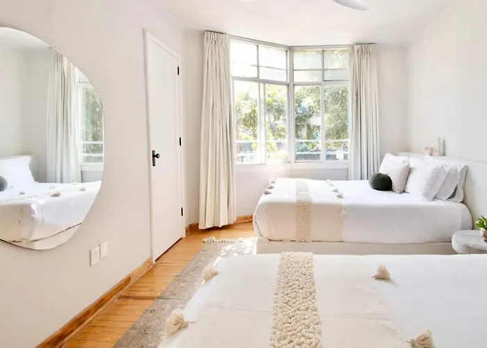 Sol 1 Cc Cm A Piece Of Paradise In The Location Condesa Mexico City