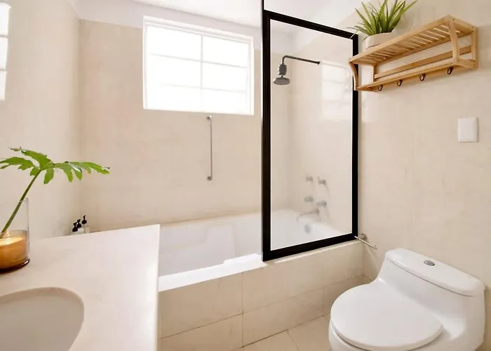 Sol 1 Cc Cm A Piece Of Paradise In The Location Condesa
