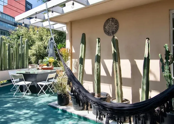 Sol 1 Cc Cm A Piece Of Paradise In The Location Condesa Mexico City