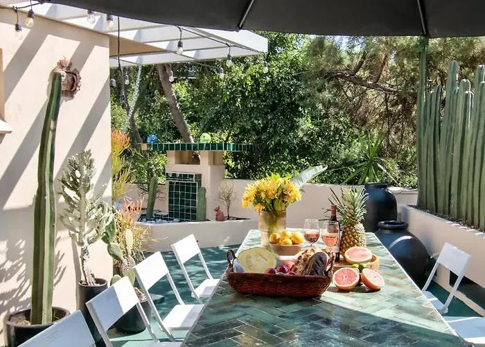 Sol 1 Cc Cm A Piece Of Paradise In The Location Condesa *